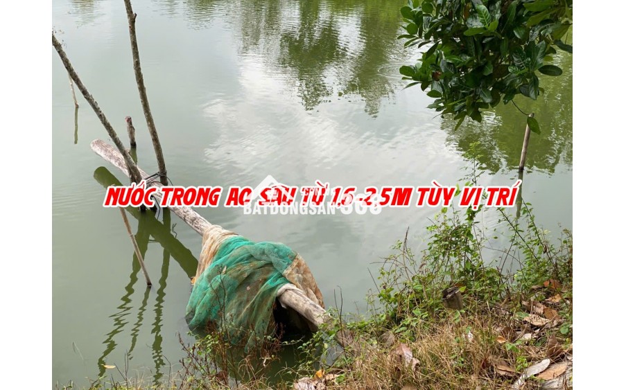 Bán đất ruộng lên ao sẵn tại Cao Lãnh
